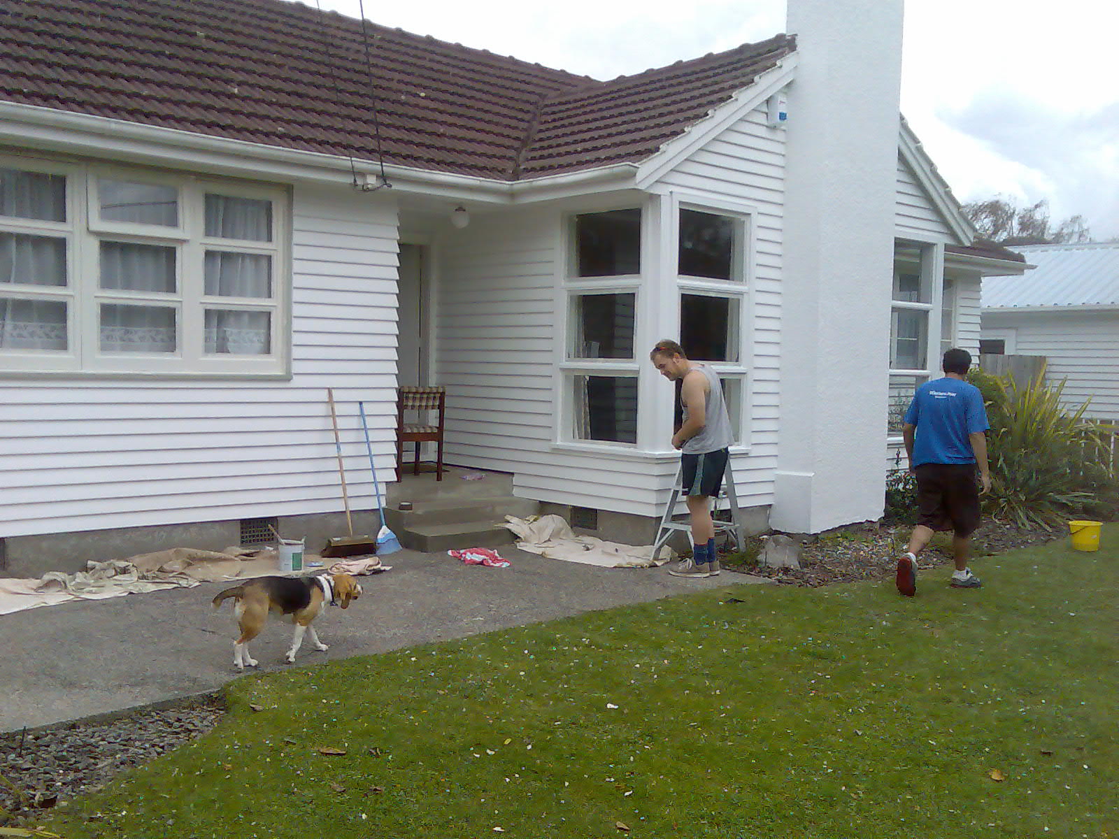Handy Build Handyman Services Wellington House Painting